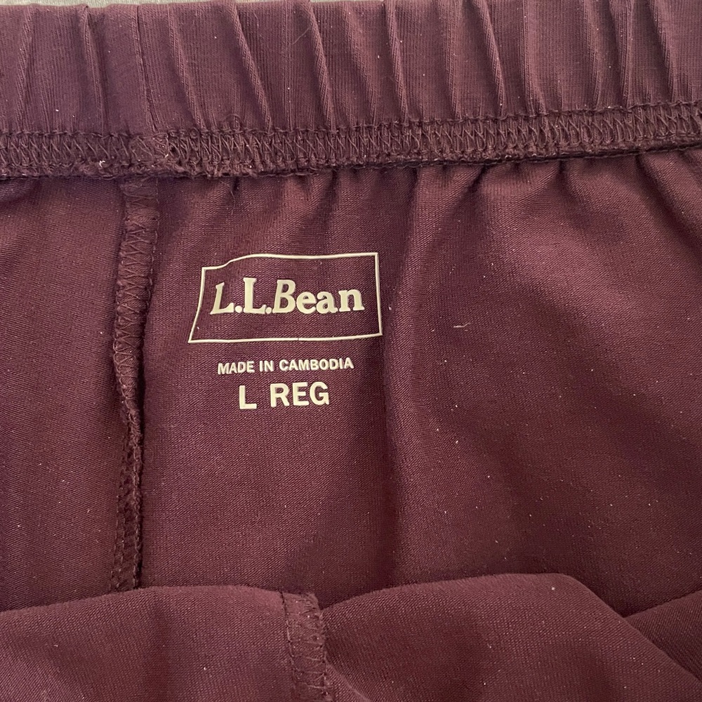 L.L. Bean brown casual pants - Picture 4 of 5